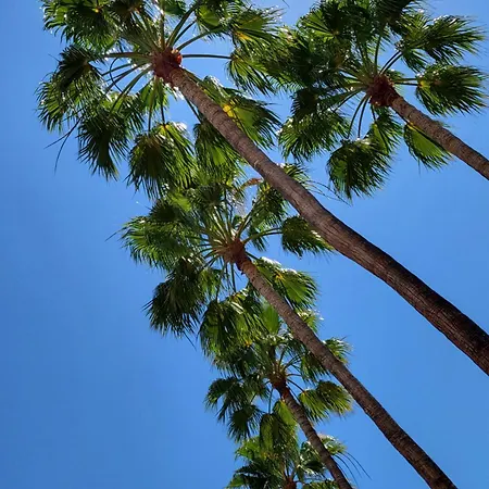 Playa De Américas El Dorado Con Vistas Directas Piscina Appartamento *