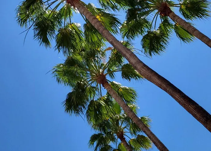 Playa De Américas El Dorado Con Vistas Directas Piscina Appartamento *